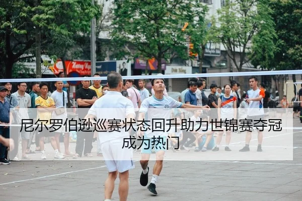 ni-er-luo-bo-xun-xun-sai-zhuang-tai-hui-sheng-zhu-li-shi-jin-sai-duo-guan-cheng-wei-re-men-2-295.jpg